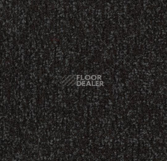 Грязезащитные покрытия Forbo Coral Classic 4730 raven black фото 1 | FLOORDEALER